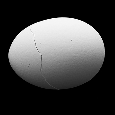 White 20fragility